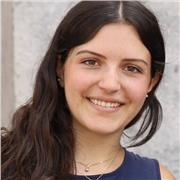 Offro lezioni di matematica e fisica per medie e superiori